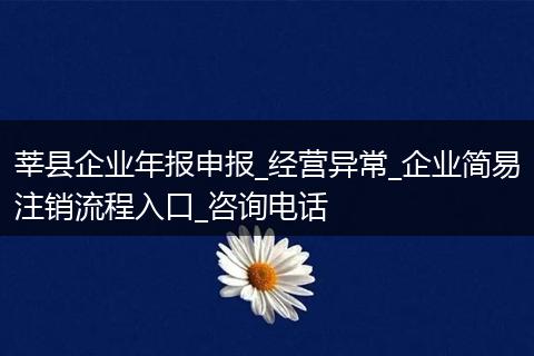 莘县企业年报申报_经营异常_企业简易注销流程入口_咨询电话