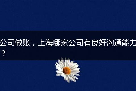 公司做账，上海哪家公司有良好沟通能力？