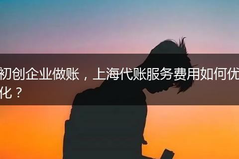 初创企业做账，上海代账服务费用如何优化？
