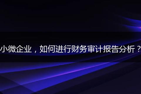 小微企业，如何进行财务审计报告分析？