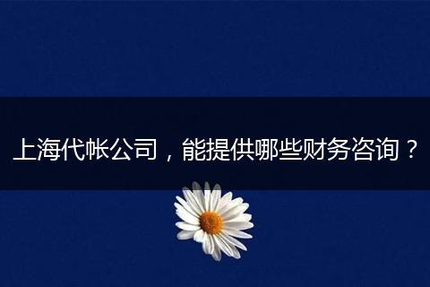 上海代帐公司，能提供哪些财务咨询？