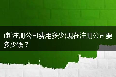 (新注册公司费用多少)现在注册公司要多少钱？