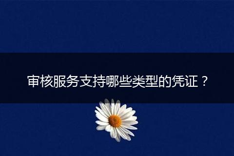 审核服务支持哪些类型的凭证？