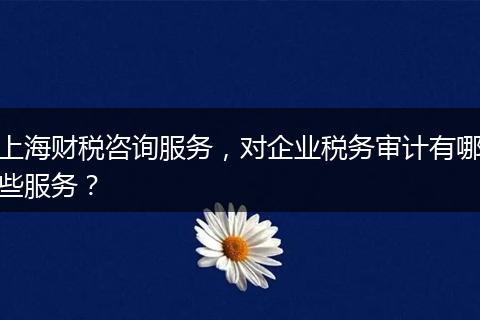 上海财税咨询服务，对企业税务审计有哪些服务？