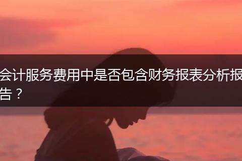 会计服务费用中是否包含财务报表分析报告？