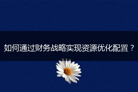 如何通过财务战略实现资源优化配置？