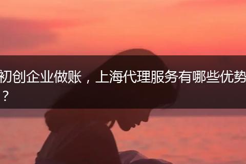 初创企业做账，上海代理服务有哪些优势？