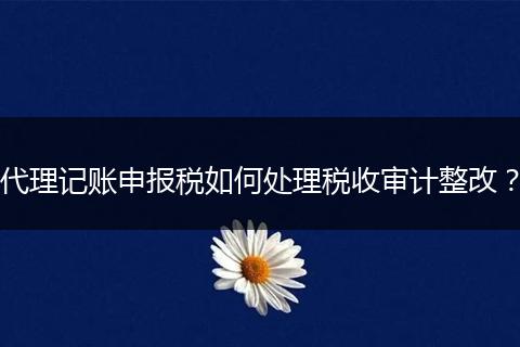代理记账申报税如何处理税收审计整改？