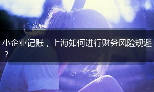 小企业记账，上海如何进行财务风险规避？