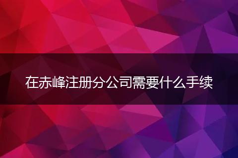 在赤峰注册分公司需要什么手续