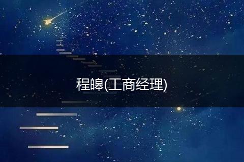程皞(工商经理)