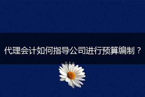 代理会计如何指导公司进行预算编制？
