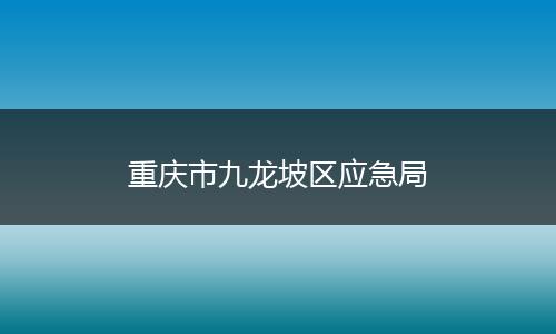 重庆市九龙坡区应急局