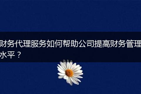 财务代理服务如何帮助公司提高财务管理水平？