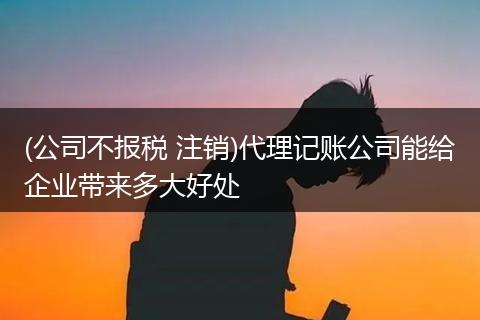 (公司不报税 注销)代理记账公司能给企业带来多大好处