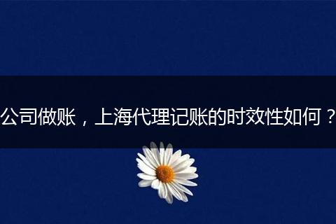 公司做账，上海代理记账的时效性如何？