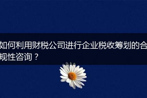 如何利用财税公司进行企业税收筹划的合规性咨询？