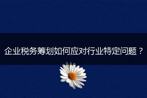 企业税务筹划如何应对行业特定问题？