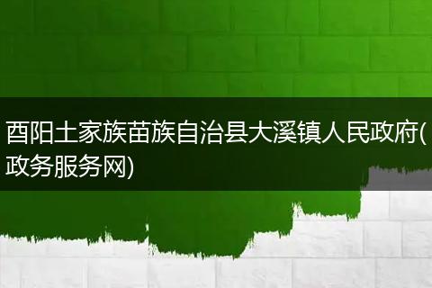 酉阳土家族苗族自治县大溪镇人民政府(政务服务网)