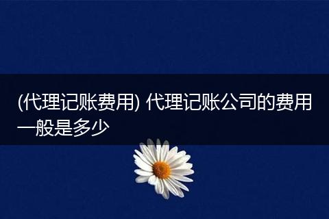 (代理记账费用) 代理记账公司的费用一般是多少
