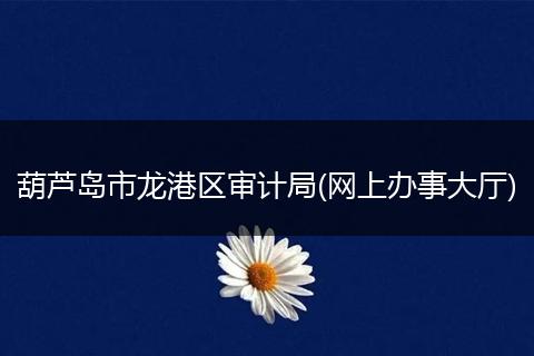葫芦岛市龙港区审计局(网上办事大厅)
