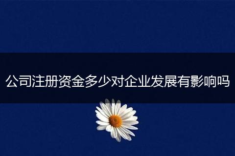 公司注册资金多少对企业发展有影响吗