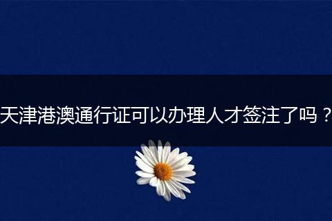 天津港澳通行证可以办理人才签注了吗？