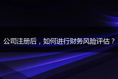 公司注册后，如何进行财务风险评估？