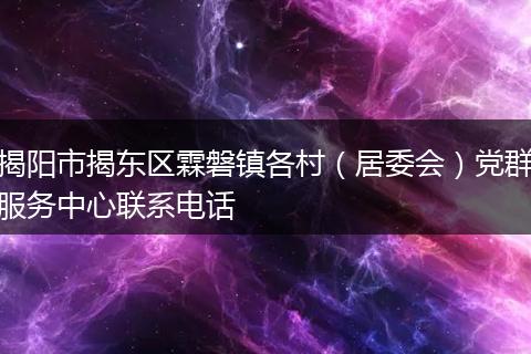 揭阳市揭东区霖磐镇各村（居委会）党群服务中心联系电话