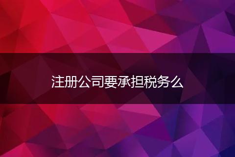 注册公司要承担税务么