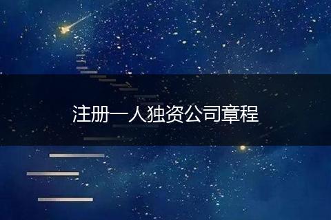 注册一人独资公司章程