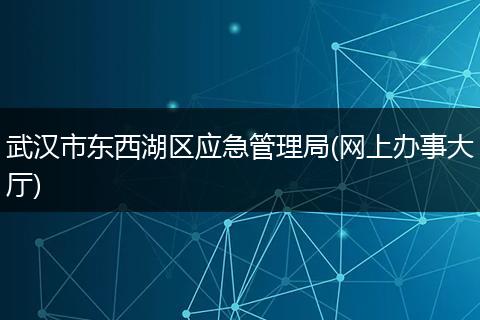 武汉市东西湖区应急管理局(网上办事大厅)