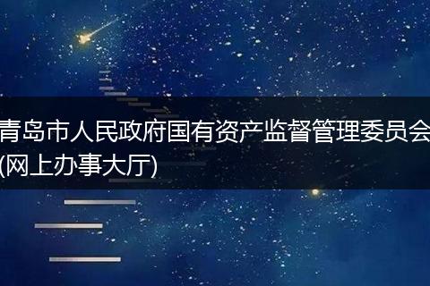 青岛市人民政府国有资产监督管理委员会(网上办事大厅)