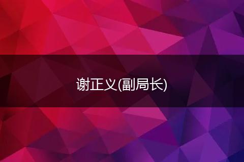 谢正义(副局长)