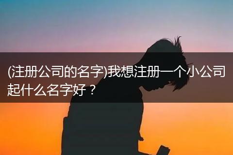 (注册公司的名字)我想注册一个小公司起什么名字好？