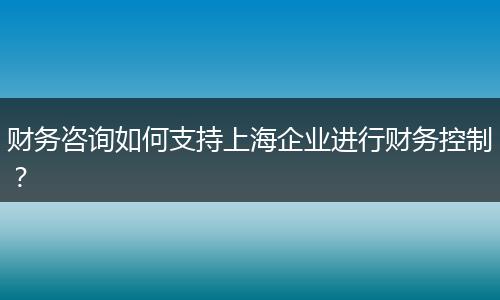 财务咨询如何支持上海企业进行财务控制？