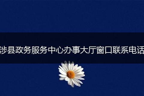 涉县政务服务中心办事大厅窗口联系电话