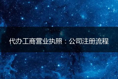 代办工商营业执照：公司注册流程
