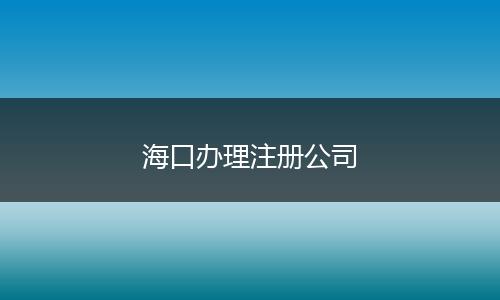海口办理注册公司