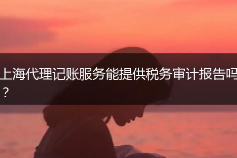 上海代理记账服务能提供税务审计报告吗？