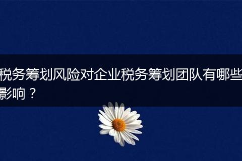 税务筹划风险对企业税务筹划团队有哪些影响？