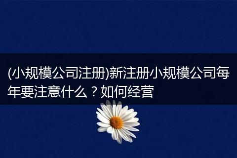(小规模公司注册)新注册小规模公司每年要注意什么？如何经营