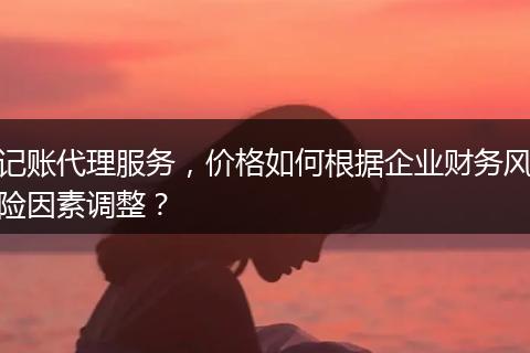 记账代理服务，价格如何根据企业财务风险因素调整？