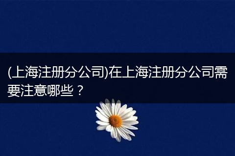 (上海注册分公司)在上海注册分公司需要注意哪些？