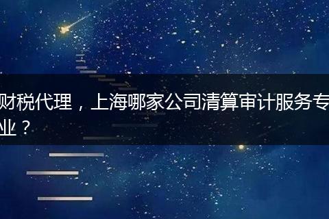 财税代理，上海哪家公司清算审计服务专业？
