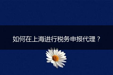 如何在上海进行税务申报代理？