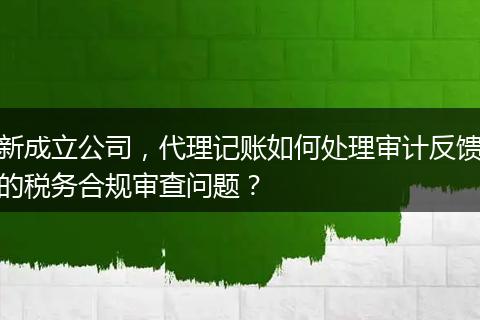新成立公司，代理记账如何处理审计反馈的税务合规审查问题？