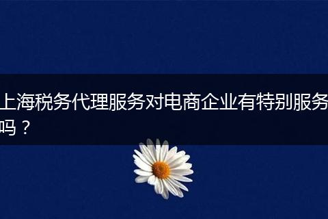 上海税务代理服务对电商企业有特别服务吗？