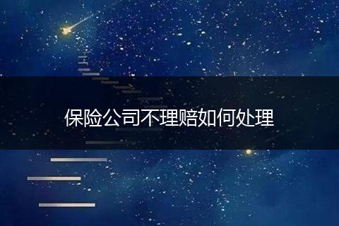 保险公司不理赔如何处理