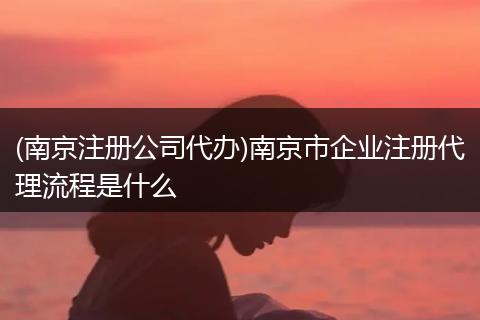 (南京注册公司代办)南京市企业注册代理流程是什么